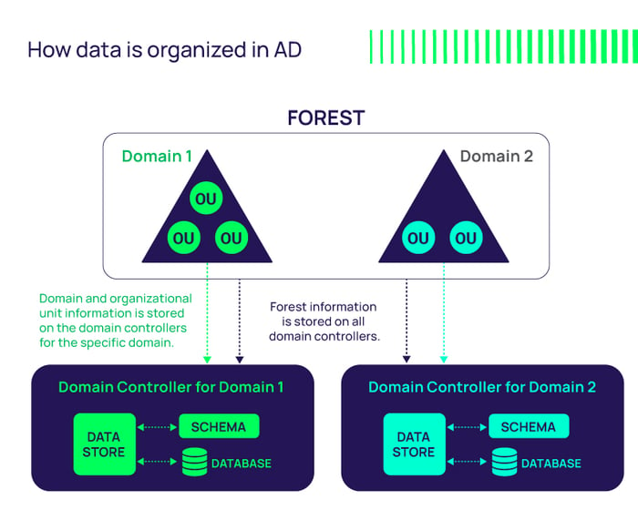 This is how data is organized in Active Directory