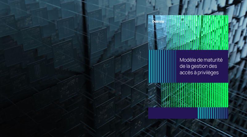 delinea-image-maturity-whitepaper-fr