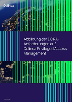 delinea-image-whitepaper-dora-requirements-a4-de-thumbnail