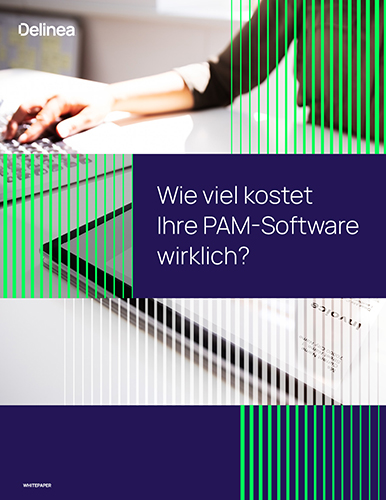 Wie viel kostet Ihre PAM-Software wirklich?