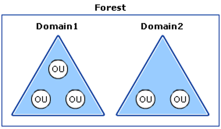 Logical AD Structure