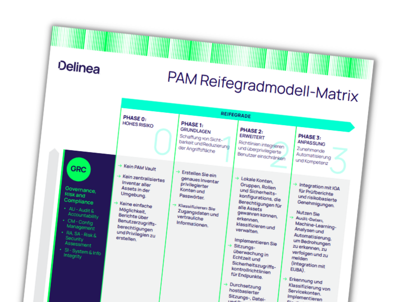 delinea-image-maturity-matrix-de