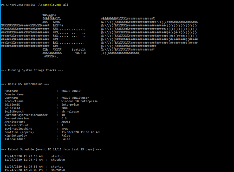 Seatbelt running on Windows Endpoint